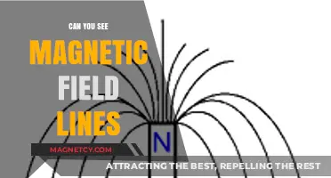 Visualizing the Invisible: Can We See Magnetic Field Lines?