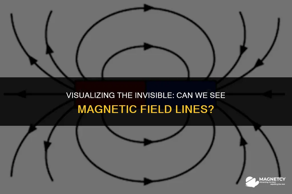 can you see magnetic field lines