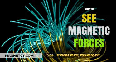Unveiling the Invisible: Exploring the Mysteries of Magnetic Forces