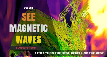 Unveiling the Invisible: Can You See Magnetic Waves?