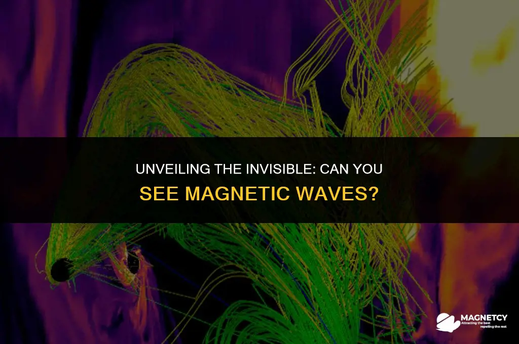 can you see magnetic waves