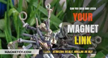 Exploring Magnet Links: The Art of Seeding and Leeching