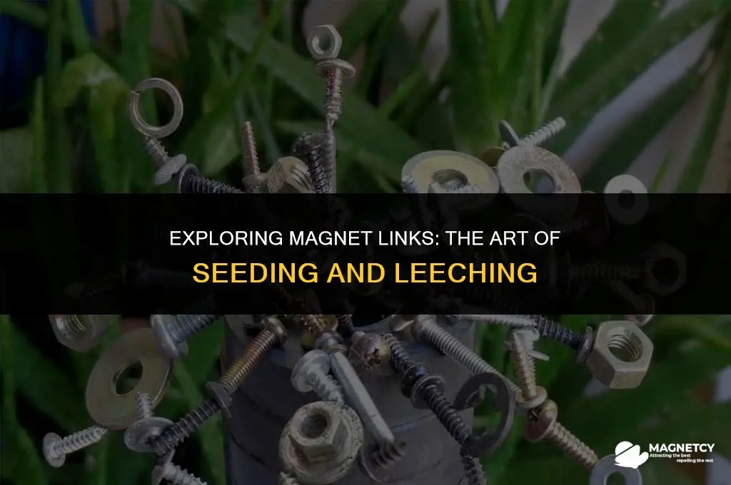can you seed and leech your magnet link