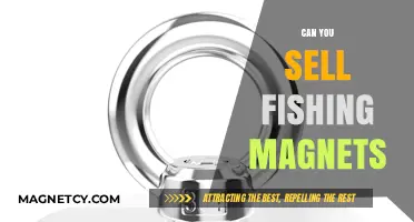 Catching Dollars: The Lucrative World of Fishing Magnet Sales