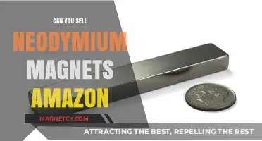 Unlocking the Potential: Selling Neodymium Magnets on Amazon