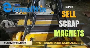 Profiting from Metal Scraps: A Guide to Selling Scrap Magnets