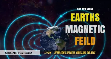 Exploring the Invisible Force: Can You Sense Earth's Magnetic Field?