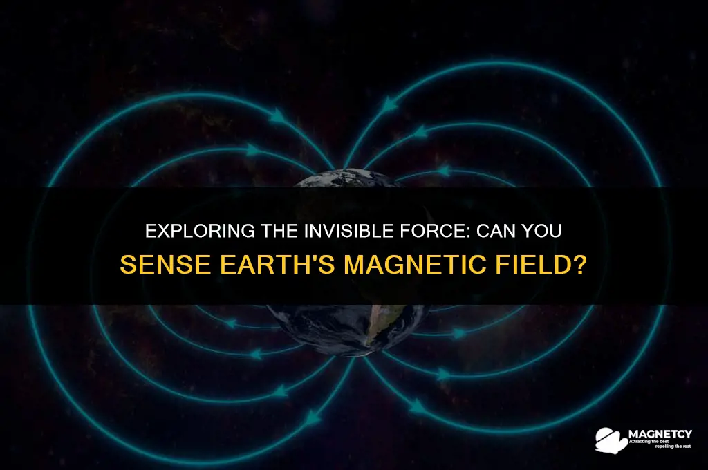 can you sense earths magnetic feild