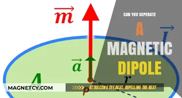 Dissecting Magnetism: The Intricacies of Separating Magnetic Dipoles