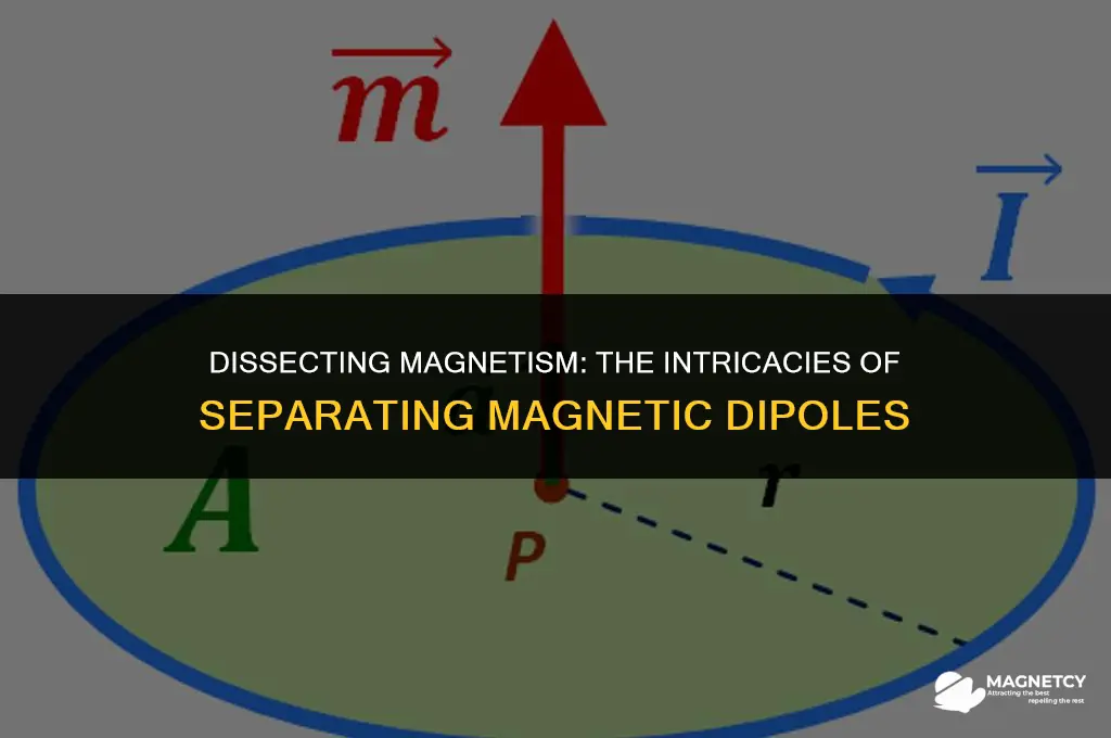 can you seperate a magnetic dipole