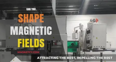Exploring the Frontiers: Can We Really Shape Magnetic Fields?