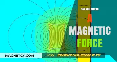 Deflecting Magnetic Forces: Exploring the Limits of Shielding