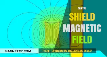 Exploring the Possibilities: Can You Shield a Magnetic Field?