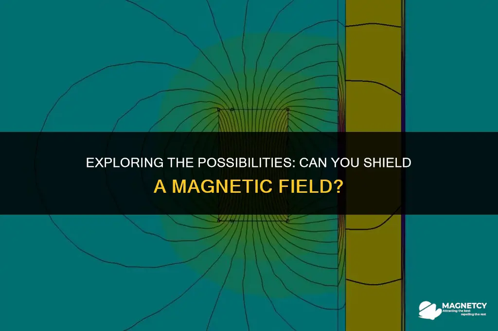 can you shield magnetic field