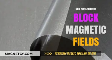 Defying Magnetic Forces: Exploring Methods to Shield and Block