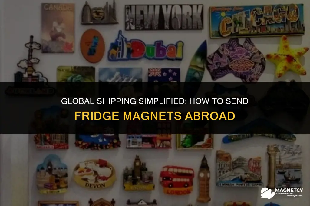 can you ship fridge magnets internationally