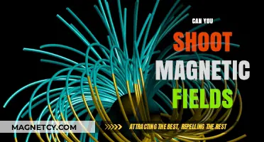 Exploring the Invisible: Can You Shoot Magnetic Fields?