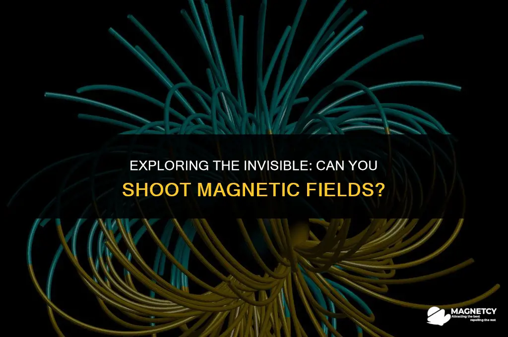 can you shoot magnetic fields