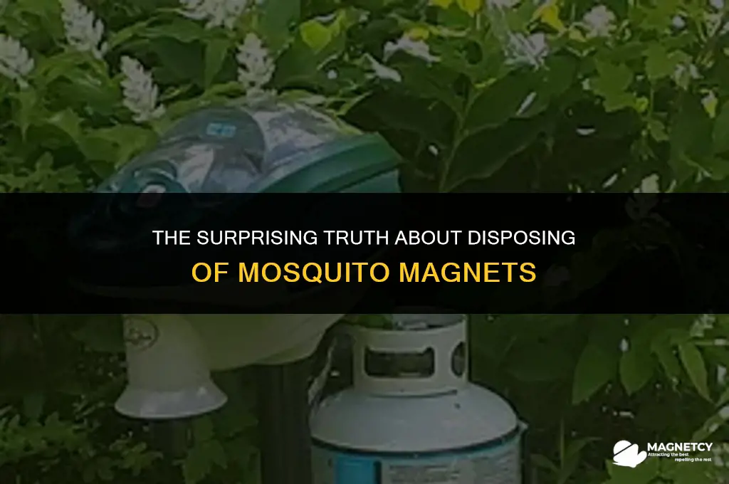 can you simply throw a mosquito magnet away