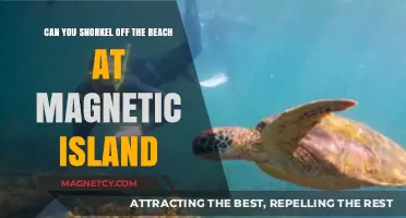 Exploring Magnetic Island: Beach Snorkeling Adventures Await!