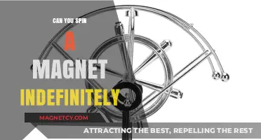 The Perpetual Spin: Exploring the Limits of Magnet Rotation