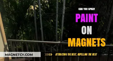 Unleashing Creativity: The Art of Spray Painting Magnets