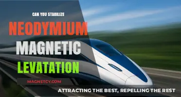 Exploring the Stability of Neodymium Magnetic Levitation Systems