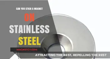 Exploring Magnetic Attraction: Does Stainless Steel Stick?