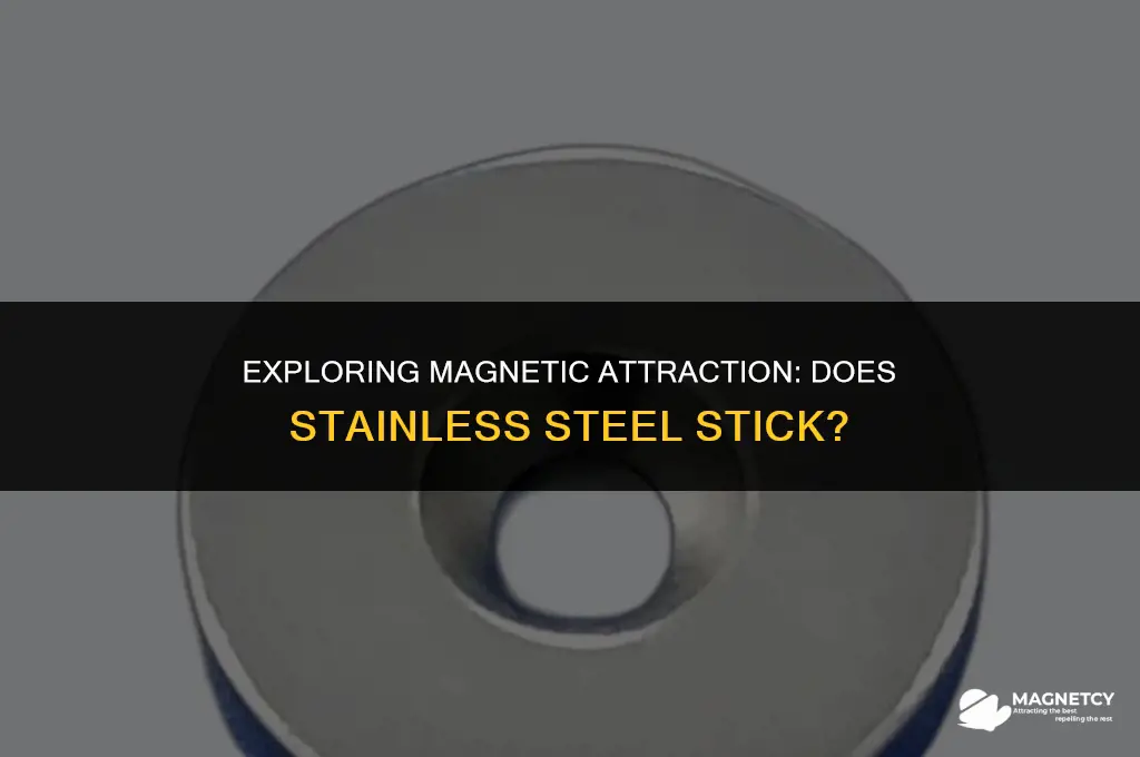 can you stick a magnet on stainless steel