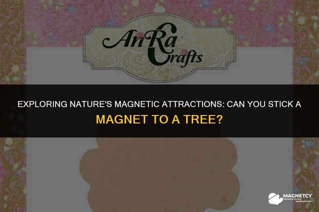 can you stick a magnet to a tree