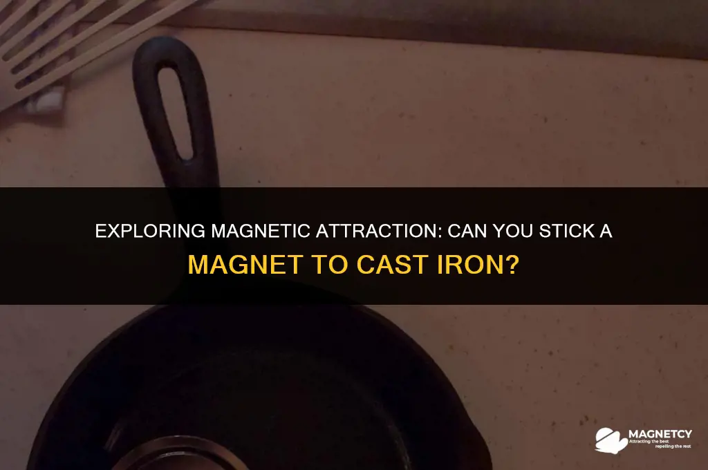can you stick a magnet to cast iron