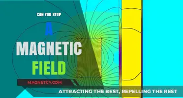 Exploring the Limits: Can Magnetic Fields Be Stopped?