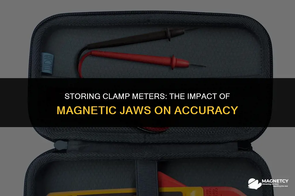 can you store a clamp meter with magnet on jaws