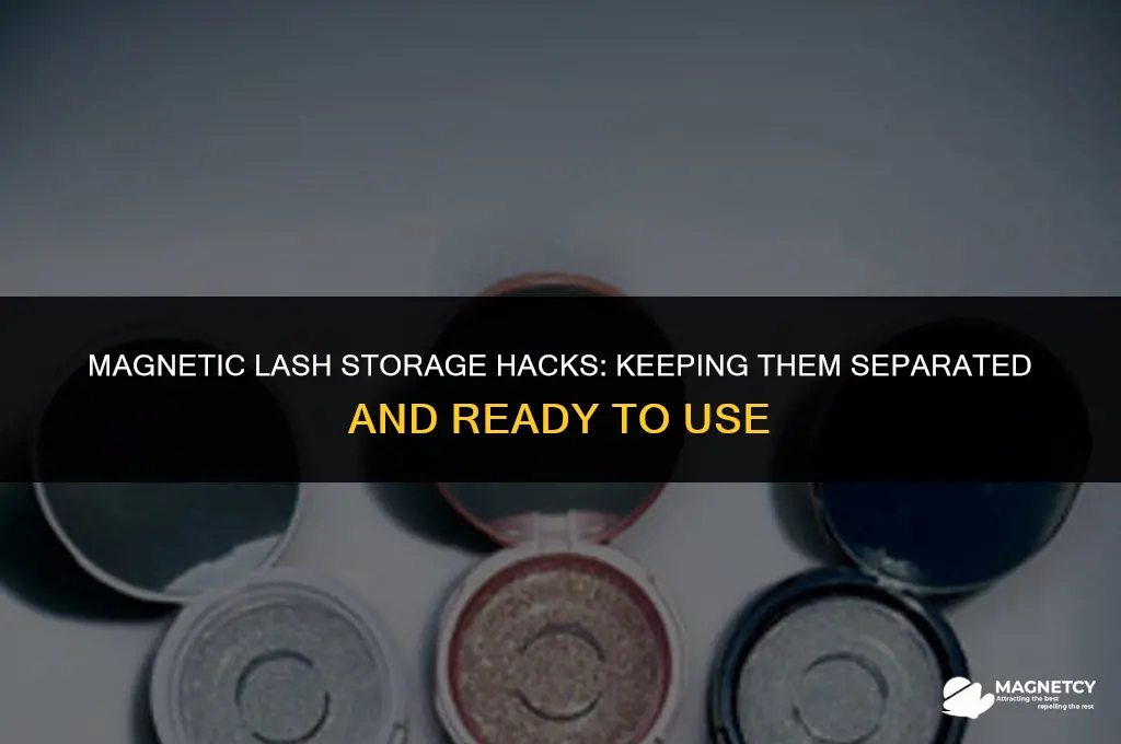 can you store magnetic lashes stuck together