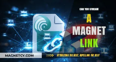 Exploring Magnet Links: A Comprehensive Guide to Streaming