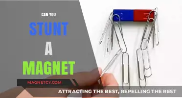 Exploring the Limits: Can You Really Stunt a Magnet?