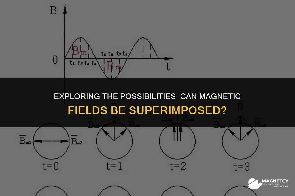 can you superimpose magnetic fields