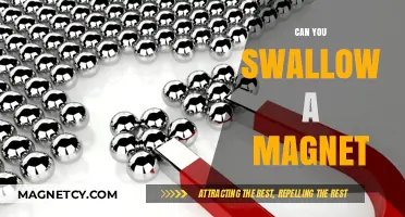 The Surprising Truth About Swallowing Magnets: What You Need to Know