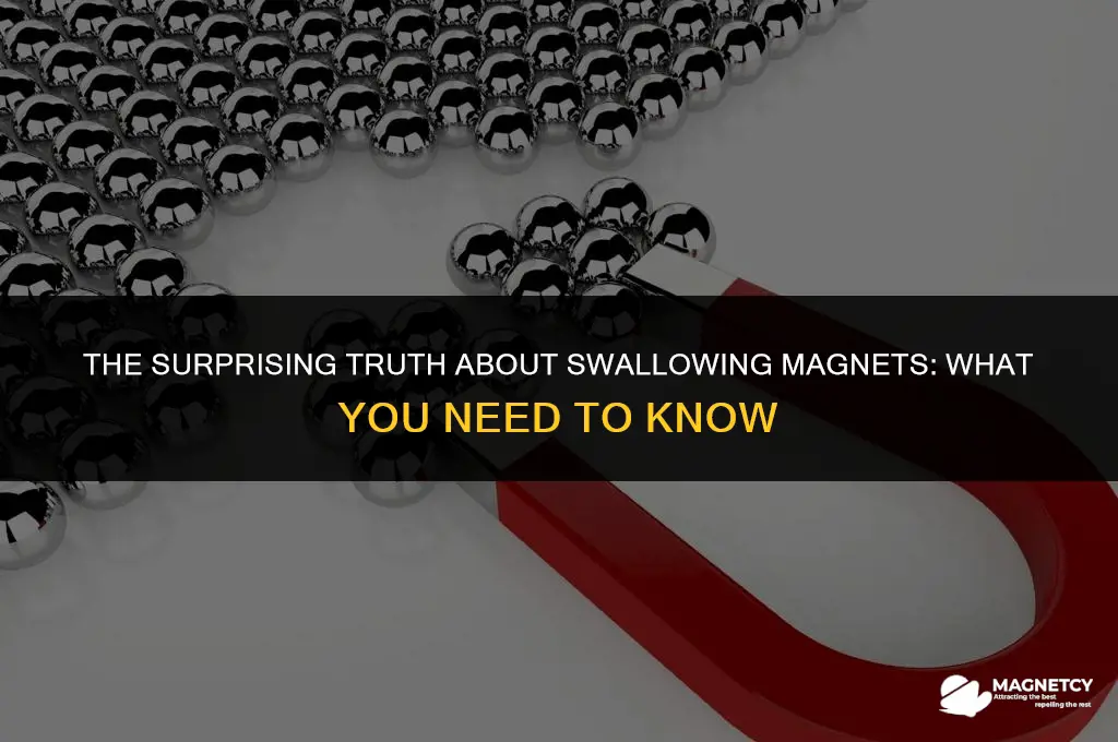 can you swallow a magnet