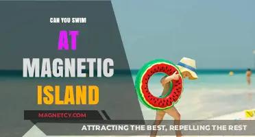 Exploring Magnetic Island: A Guide to Safe Swimming Spots