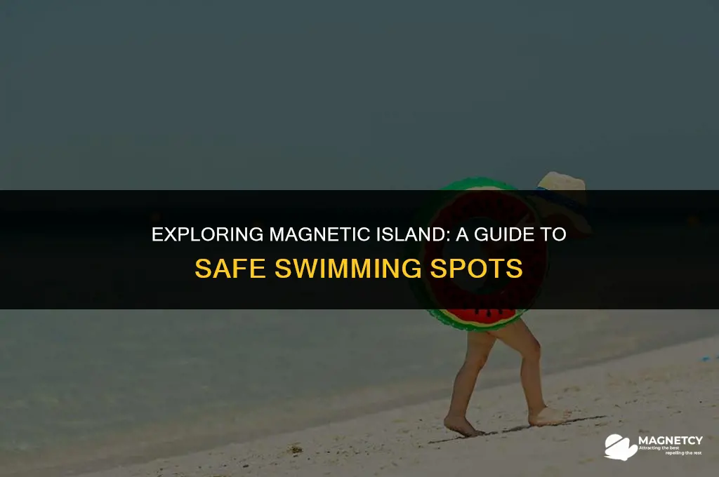 can you swim at magnetic island