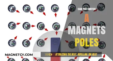 Reversing the Polarity: Can You Switch a Magnet's Poles?
