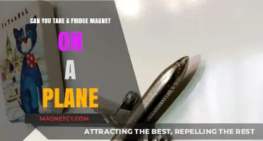 Sky-High Souvenirs: The Surprising Truth About Flying with Fridge Magnets