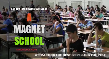Exploring Higher Education Opportunities in Magnet Schools