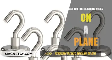Sky-High Organization: The Truth About Magnetic Hooks on Planes