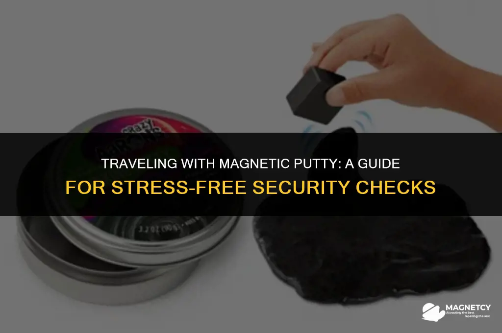can you take magnetic putty on a plane