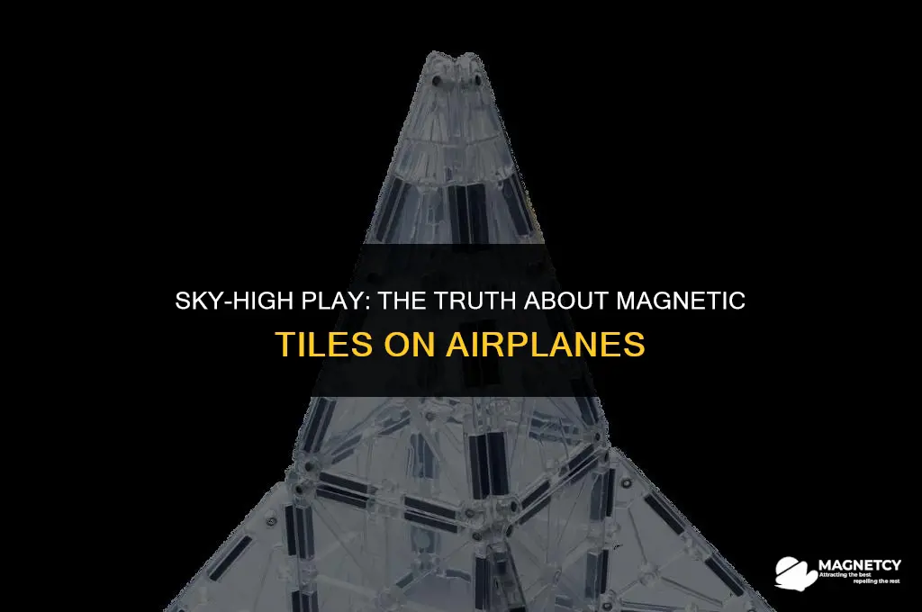can you take magnetic tiles on a plane