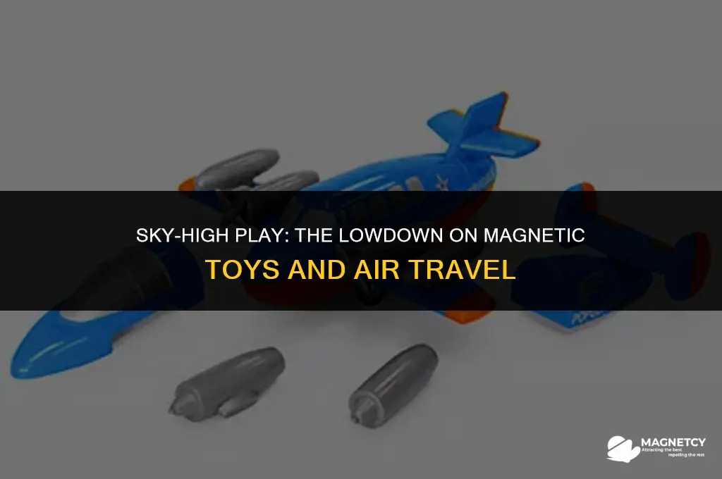 can you take magnetic toys on a plane