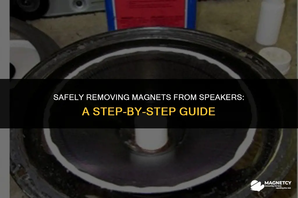 can you take magnets off speackers