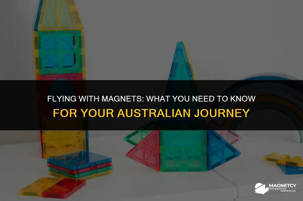 can you take magnets on a plane australia